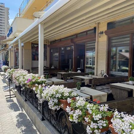 酒店 奥特尔酒店 3*