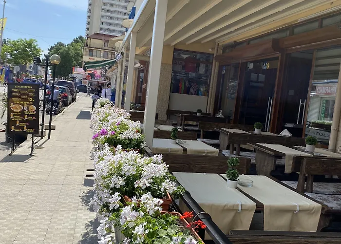 酒店 奥特尔酒店 阳光海滩